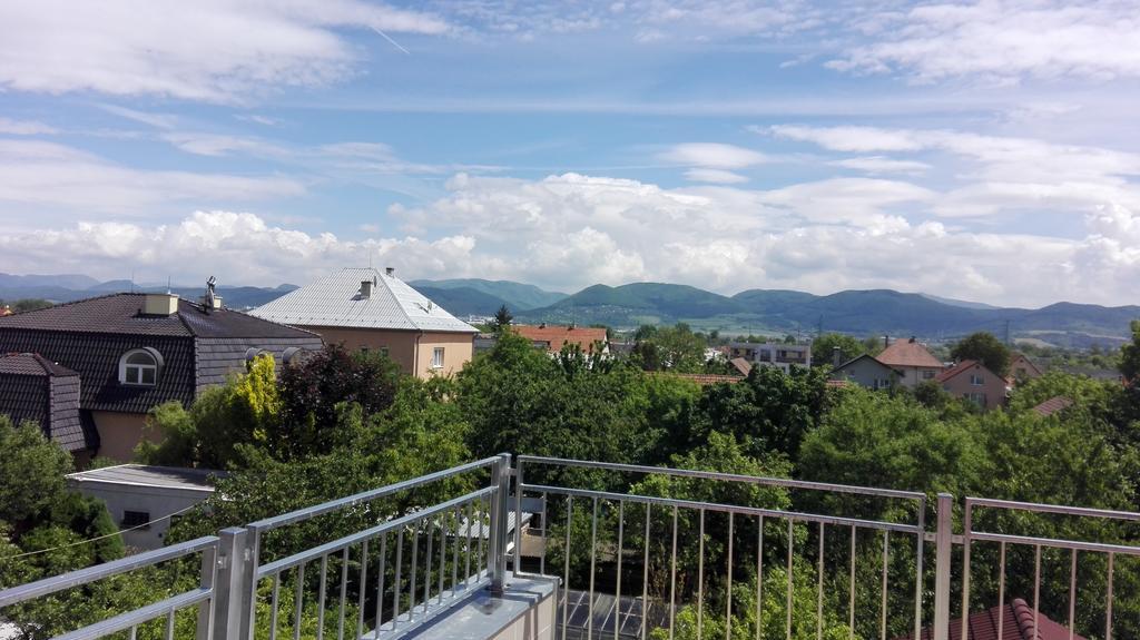 Penzion Fox Nemšová Buitenkant foto