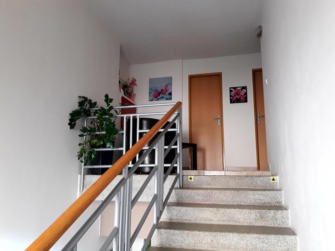 Penzion Fox Nemšová Buitenkant foto