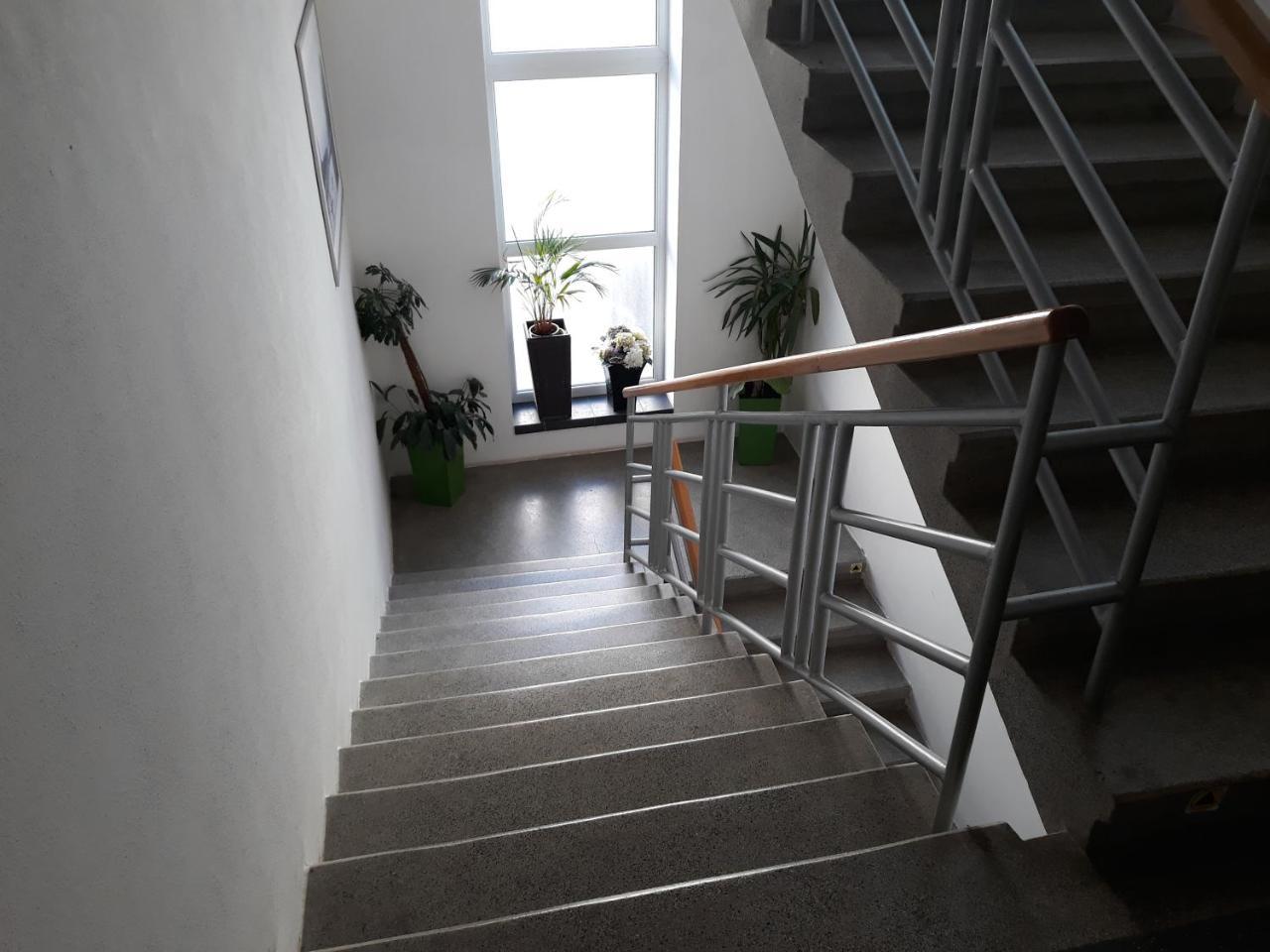 Penzion Fox Nemšová Buitenkant foto