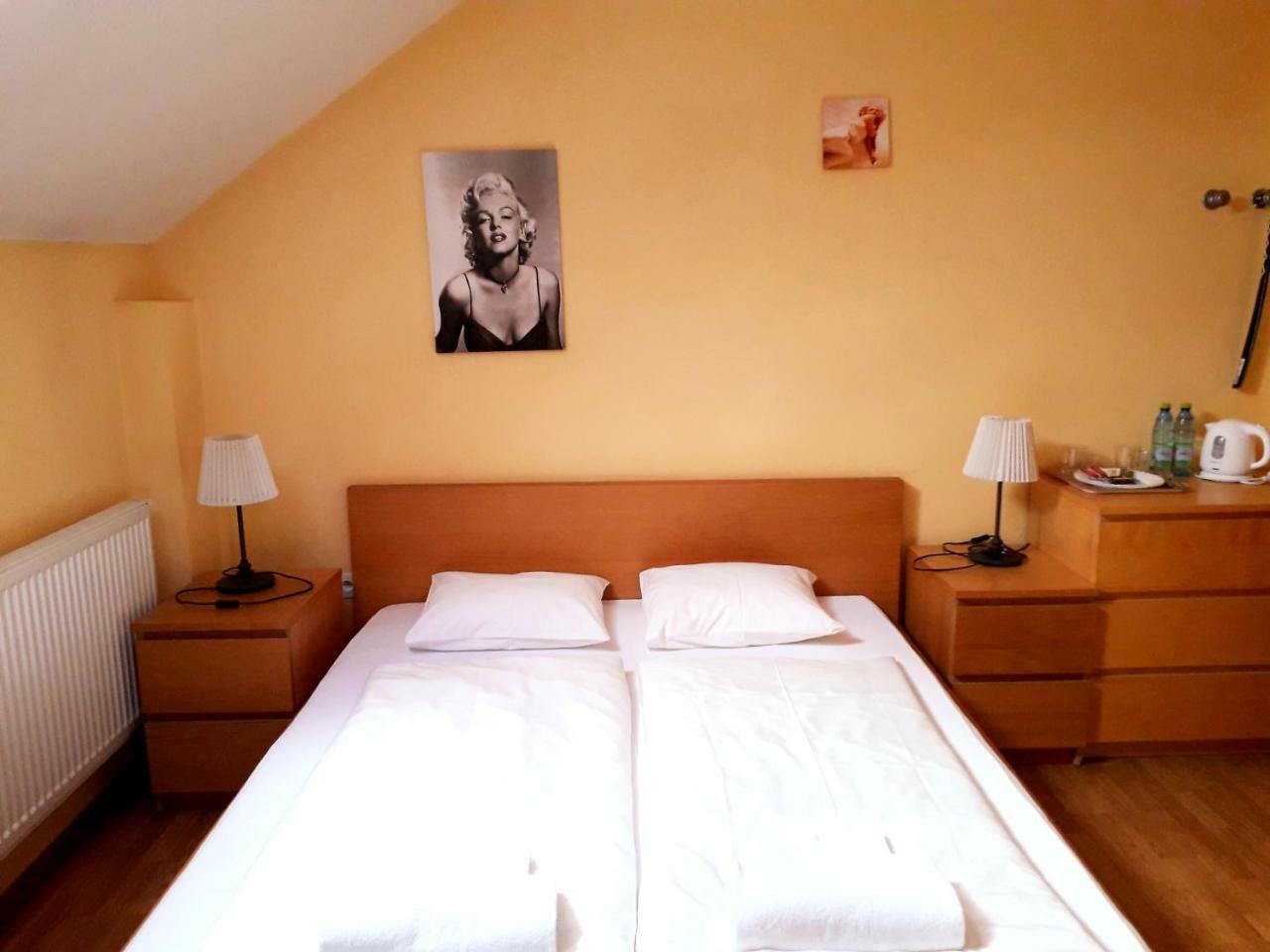 Penzion Fox Nemšová Buitenkant foto